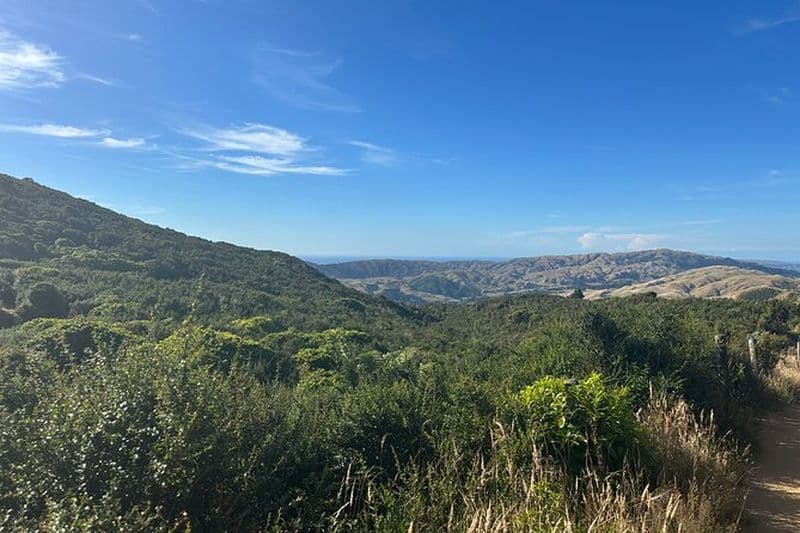 Billet Wellington : Randonnée autoguidée Wild Skyline avec déjeuner et transferts