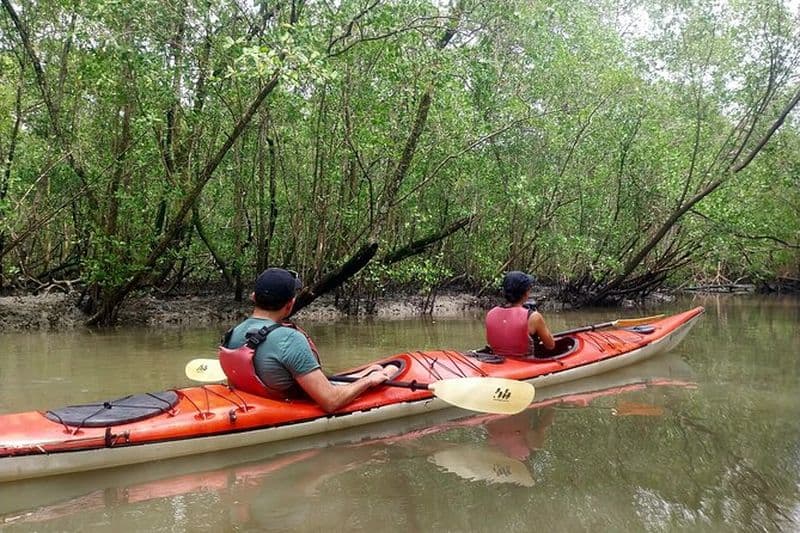 Découverte de la mangrove, des plages et îles de Paraty en Kayak