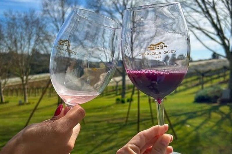 Saveurs de São Roque. Dégustation de vins fins et de vins mousseux