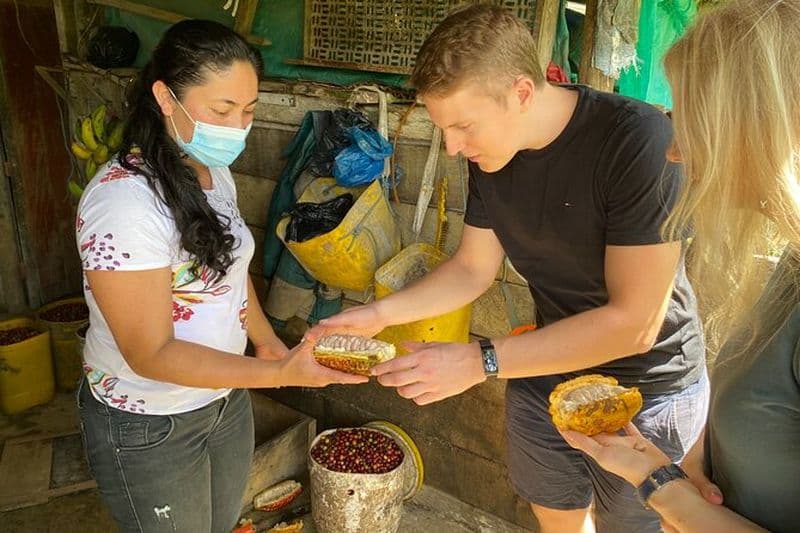Visite du chocolat près de Medellin