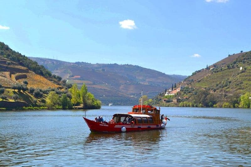 Visite de la vallée du Douro : 2 visites de vignobles, croisière fluviale, déjeuner dans une cave
