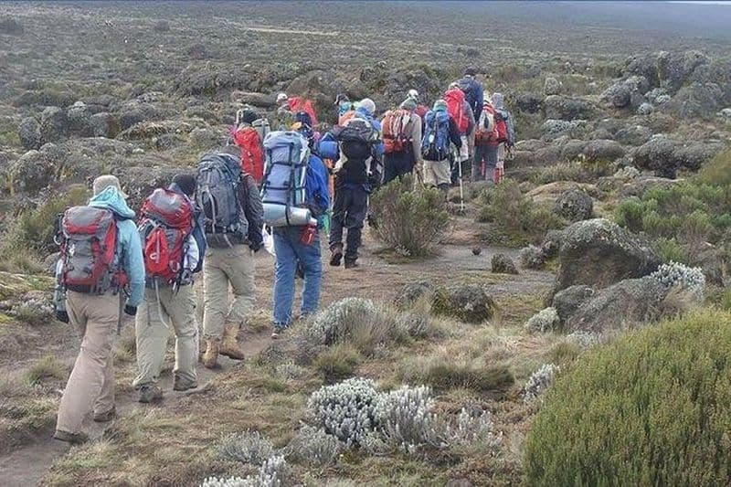 Excursion d'une journée au parc national du Kilimandjaro