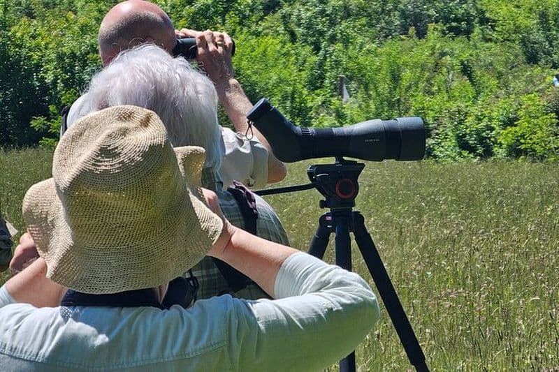 Excursion de 7 jours - Observation des oiseaux en Albanie