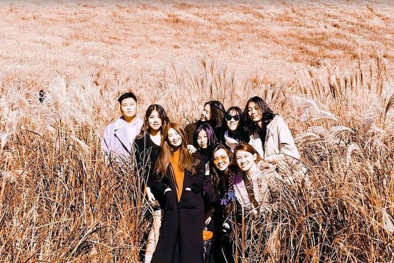 Excursion en taxi privé sur l'île de Jeju: 3 journées complètes