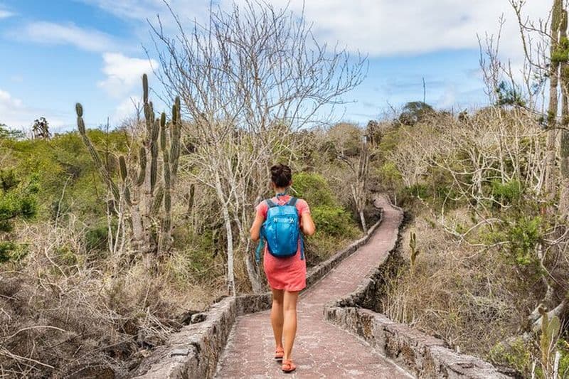 Style de sac à dos d'île en île des Galapagos de 8 jours : Los Tuneles et Kicker Rock