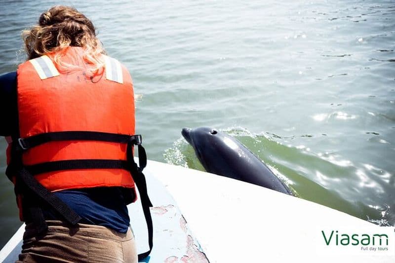 Billet Excursion d'une journée complète dans les mangroves, les dauphins et les oiseaux au départ de Guayaquil