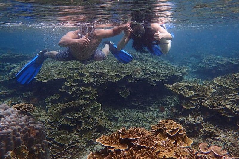 Billet Anilao Snorkel Safari : explorez l'incroyable monde sous-marin