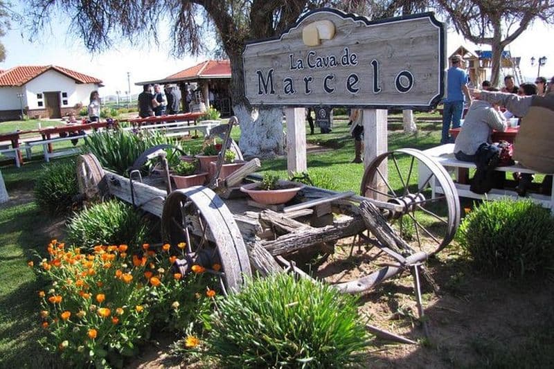 Circuit de la Route du Vin et du Fromage de la Vallée d'Ojos Negros à Baja California