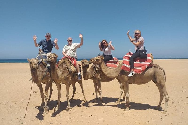 Excursion privée d'une journée à Tanger depuis le bateau de croisière tout compris