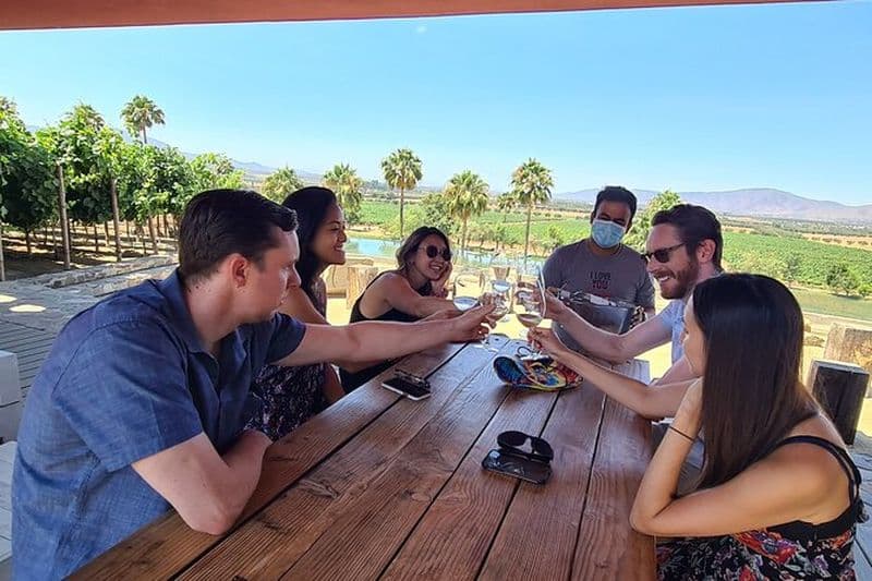 Visite de la vallée du vin de Guadalupe