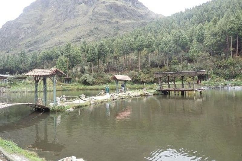 Excursion d'une journée à la pêche privée dans le parc national de Cajas au départ de Guayaquil