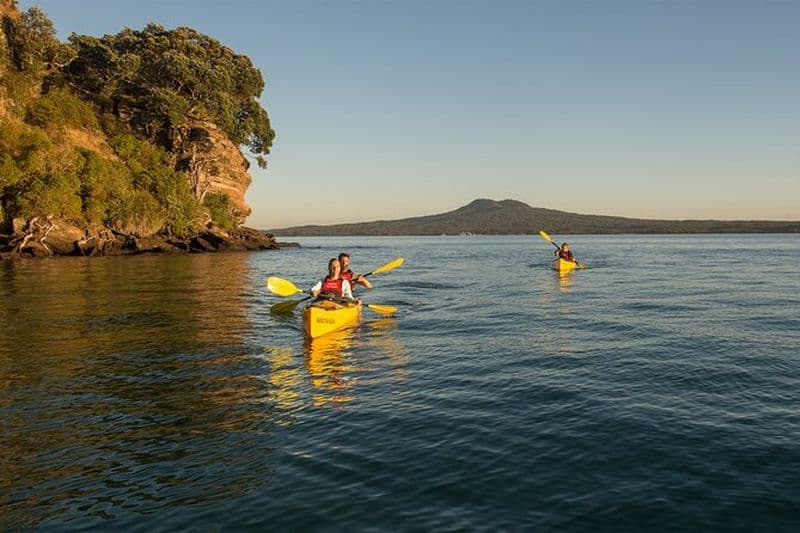Excursion d'une journée en kayak de mer sur l'île de Rangitoto