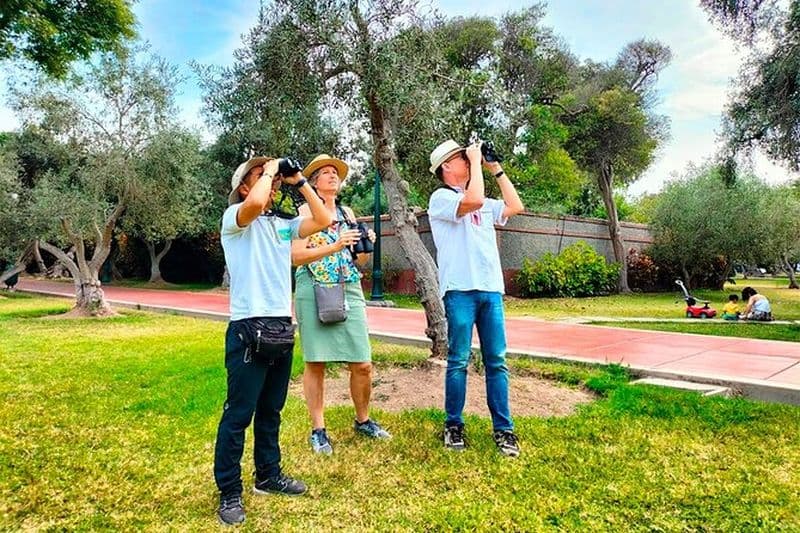 Visite d'observation des oiseaux et d'aménagement paysager à Lima