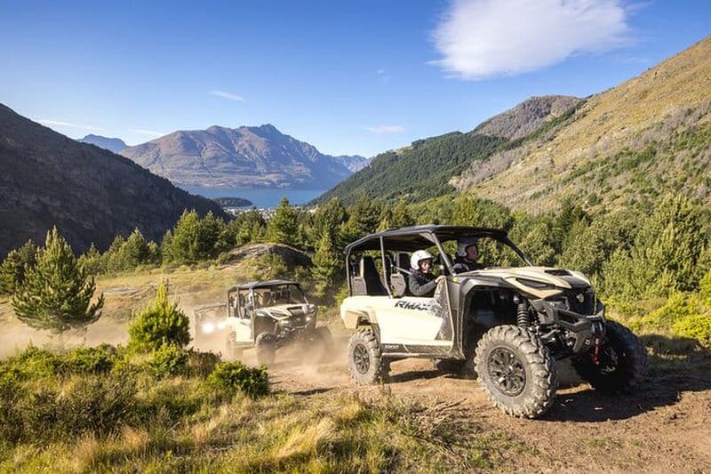 Visite guidée de Queenstown en buggy