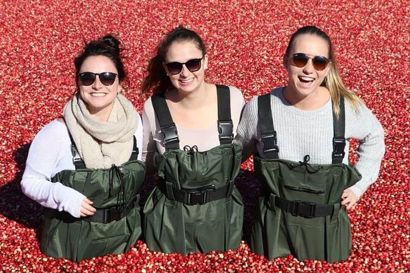 Plongée aux canneberges et randonnée au lac Hardy