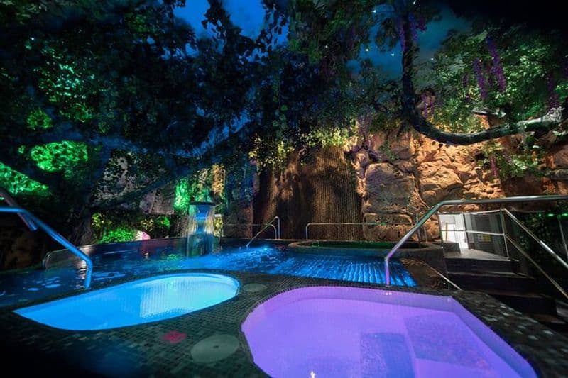 Spa : Hydrothérapie + Massage Thématique Relaxant + Dîner Teppanyaki