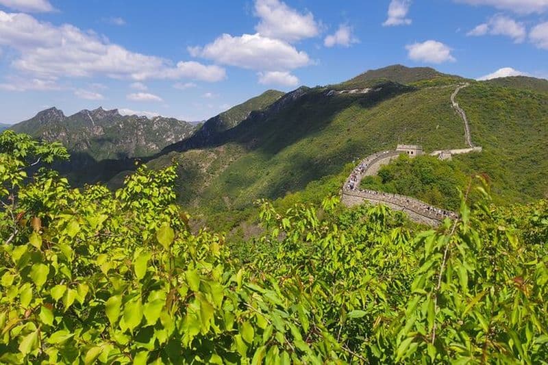 Billet Aéroport (PKX) Pickup + Mutianyu Great Wall + Downtown drop