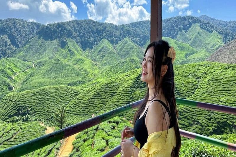 Cameron Highlands avec déjeuner Visite guidée d'une journée (SIC/Visite partagée)