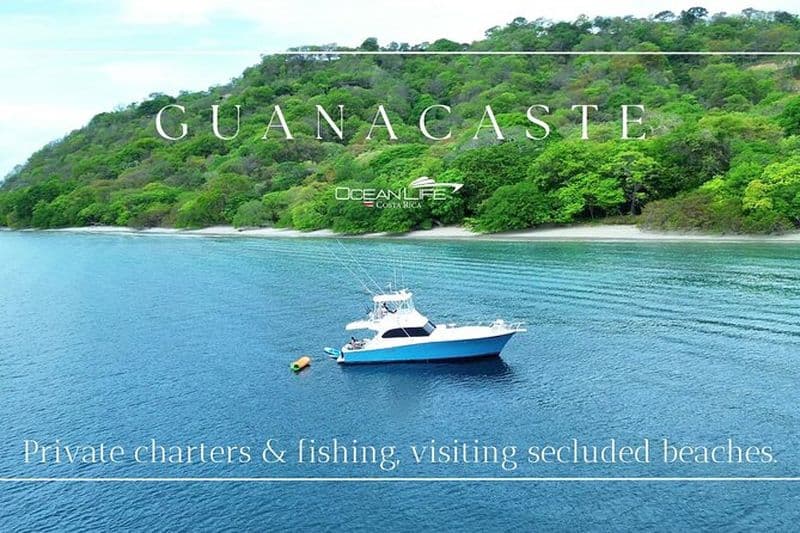 Charte privée Coucher de soleil Plongée en apnée Pêche Bonne nourriture Open Bar