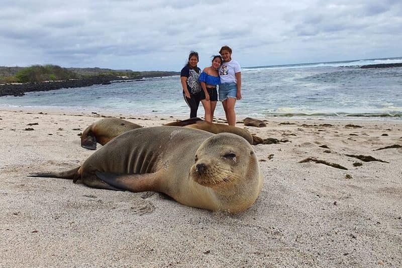 Excursion d'une journée sur l'île de San Cristobal avec visite privée à terre et plongée en apnée