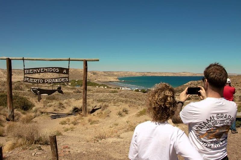 Expérience d'une journée complète à la péninsule Valdés - observation des baleines en option