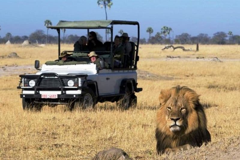 Safari en camping de 2 jours dans le parc national de Chobe depuis les chutes Victoria