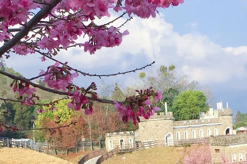 Billet Sun Moon Lake et Qingjing Farm Tour Taichung City Hotel Pickup