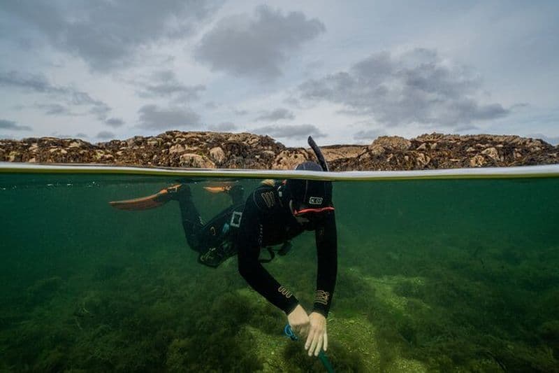 Billet Activité guidée de plongée avec tuba à Coral Beach Carraroe, Galway