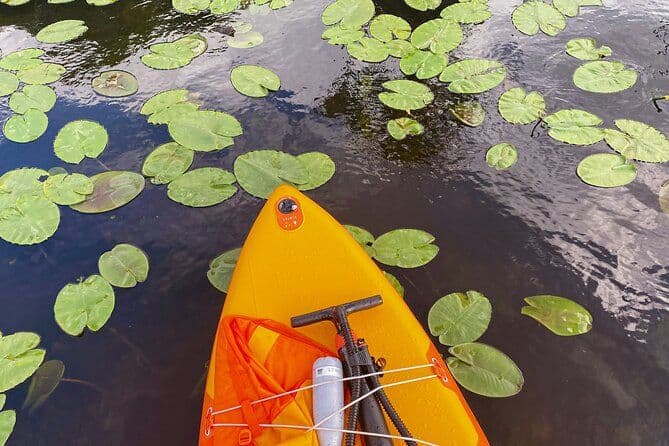 Tour de Stand Up Paddle de Tirana en Albanie au lac Skadar et à la rivière Buna