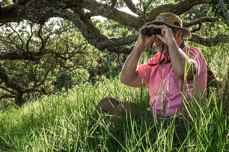 Visite privée d'observation des oiseaux de l'île de Waiheke