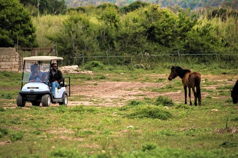Billet Location de voiture golf à Parc naturel de Porto Conte