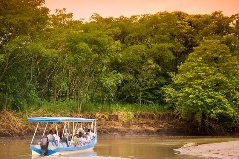 Safari en bateau à Palo Verde