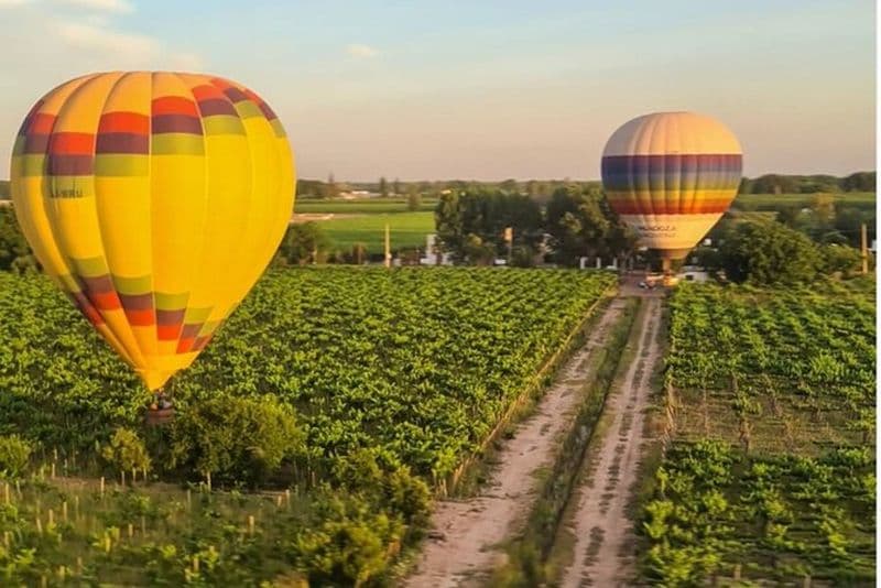 Montgolfière au-dessus des vignobles avec des toasts au vin