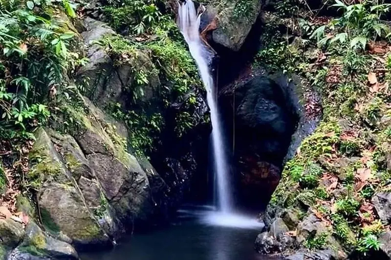 Randonnée dans le sanctuaire faunique de Cockscomb Basin au départ de Hopkins