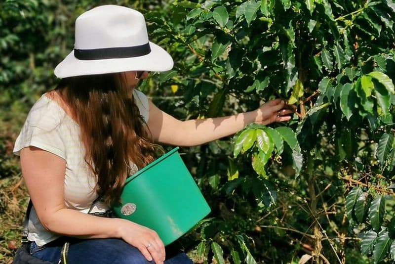 Visite privée de la ferme de café et des VTT à Medellin: Vues imprenables & plaisir