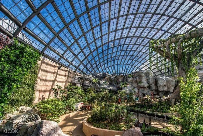 Penang Round Island Tour avec jardin d'épices tropicales et ferme aux papillons Entopia