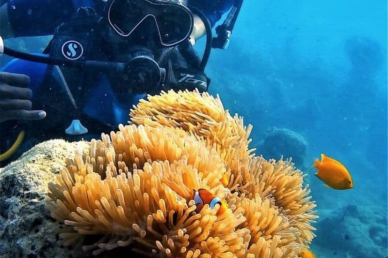 Plongée sous-marine pour débutants ou non nageurs