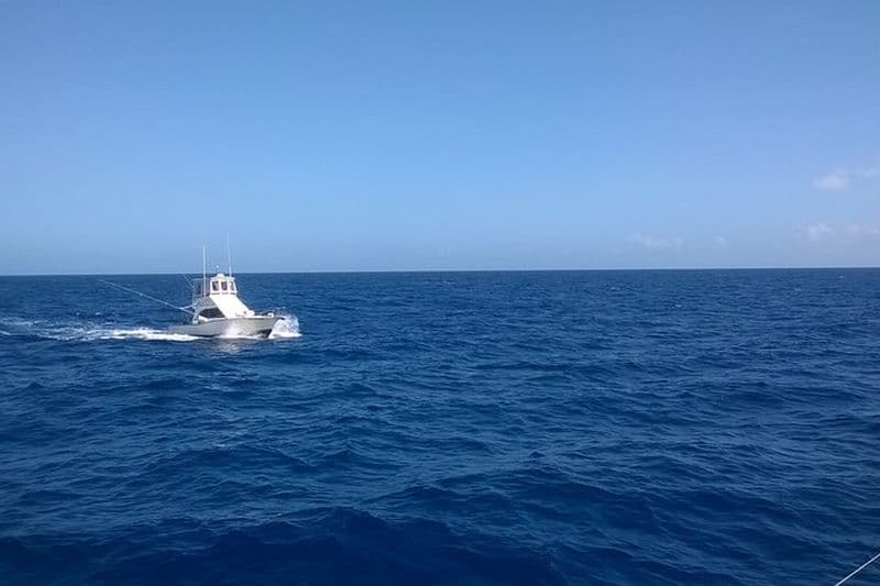 Excursion de pêche de 4 heures à Punta Cana