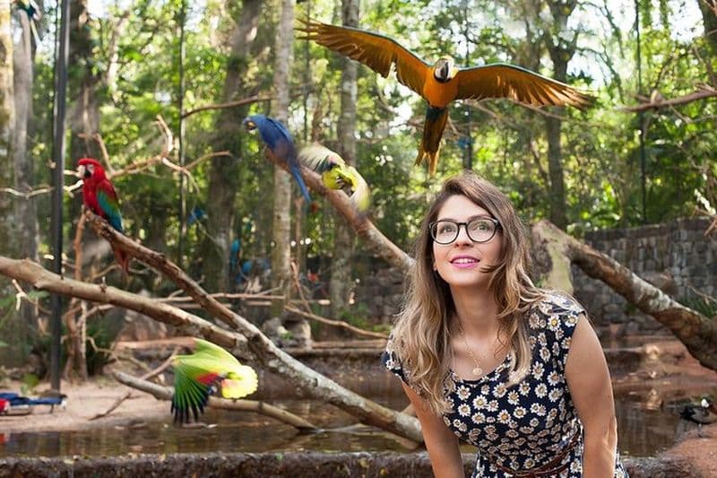 Parc des oiseaux et côté brésilien d'Iguassu depuis les hôtels de Puerto Iguazú - Visite privée