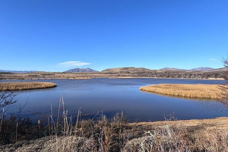 Visite privée d'observation des oiseaux et de la faune en Patagonie chilienne