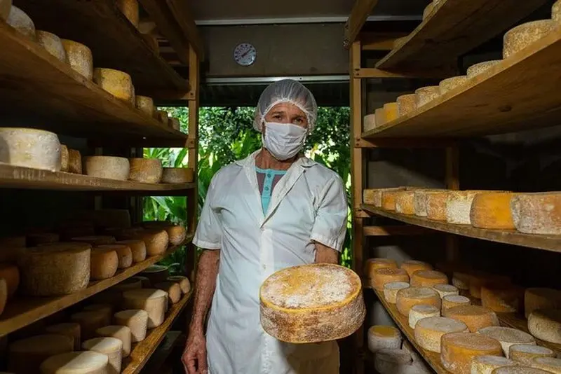 Billet Visite guidée privée du fromage à Canaan de Rivas