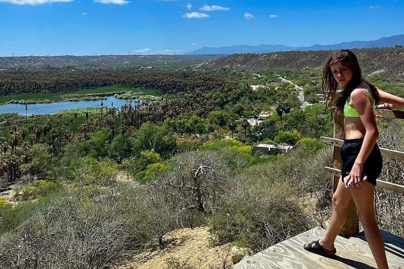 Los Cabos : Randonnée au Fox Canyon avec cascade
