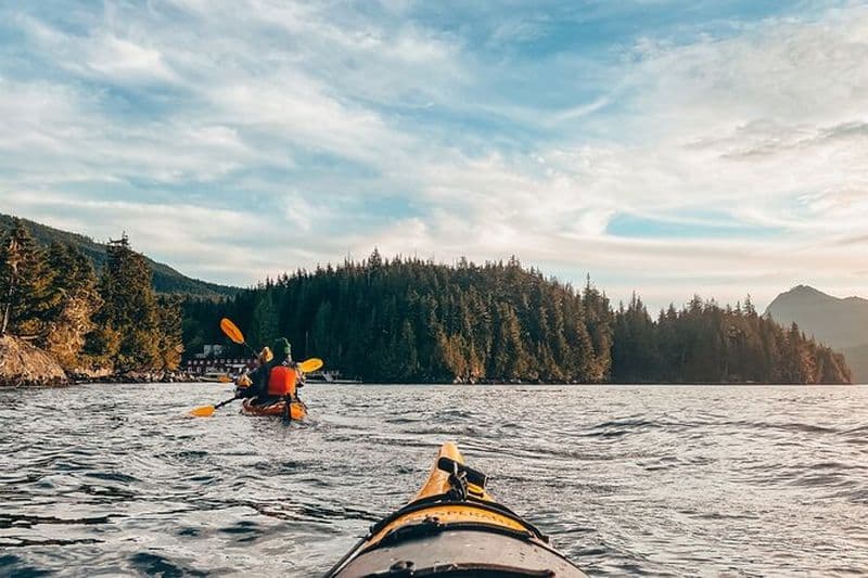 Île de Vancouver : Excursion d'une demi-journée en kayak depuis Telegraph Cove