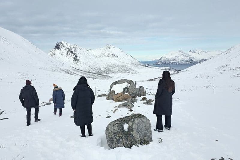 Tromso Fjords Tour en voiture Photographie gratuite Petit groupe par (Grand van)
