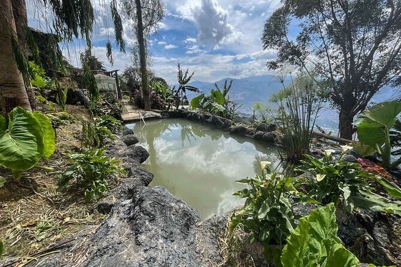 Billet Visite du café et spa de Medellin