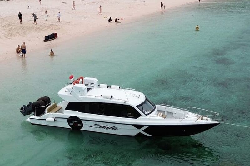 Billet Excursion d'une journée à Komodo et plongée en bateau à moteur