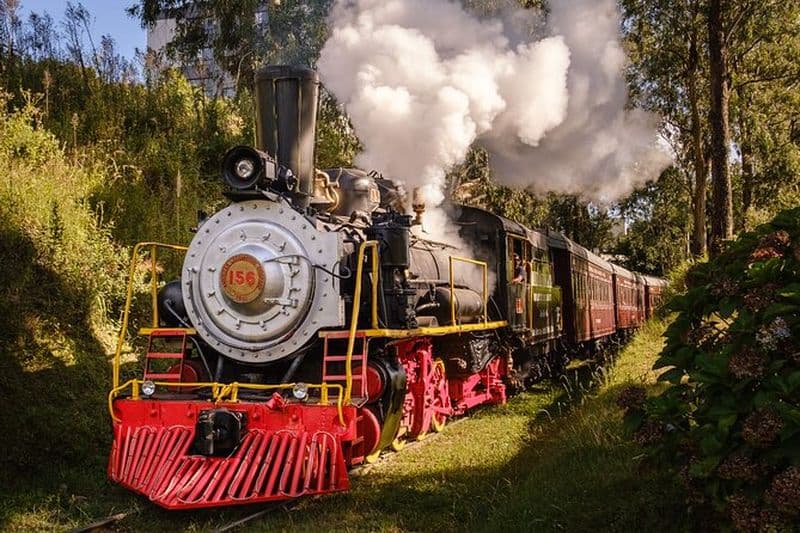 Maria Fumaça - Vins et Histoire