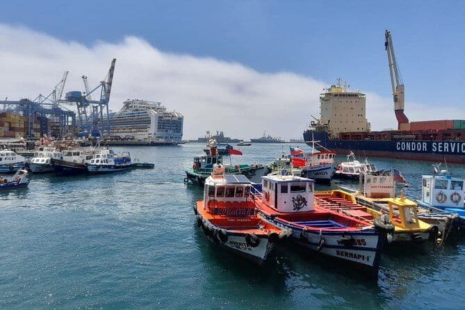 Tour post croisière à Valparaiso & Casablanca : Départ à Santiago