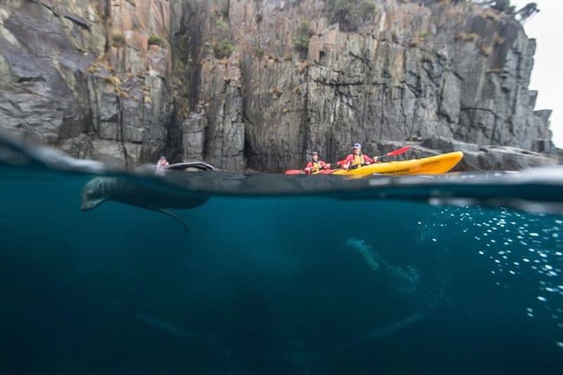 Excursion d'une journée complète en kayak dans la péninsule de Tasman