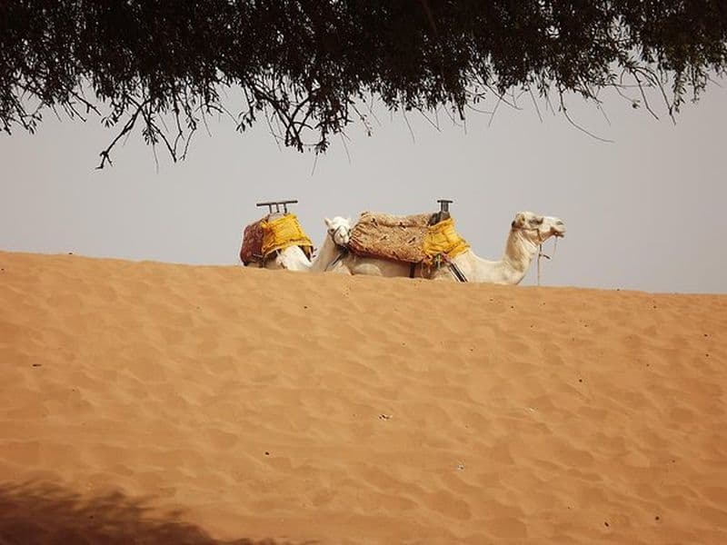 Massa 4x4 et petites dunes avec excursion d'une journée au départ d'Agadir